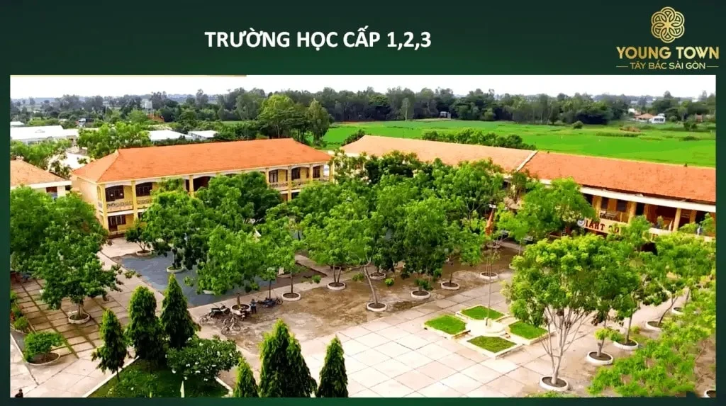 Dự án young town thắng lợi group